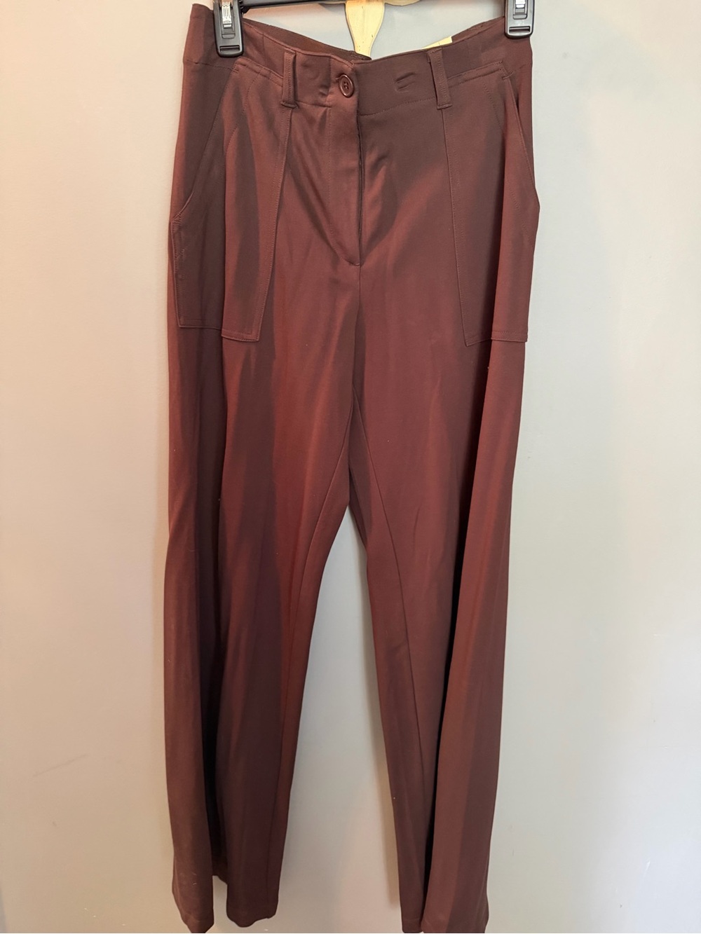 Max Studio Wide-Leg Pants in Deep Brown